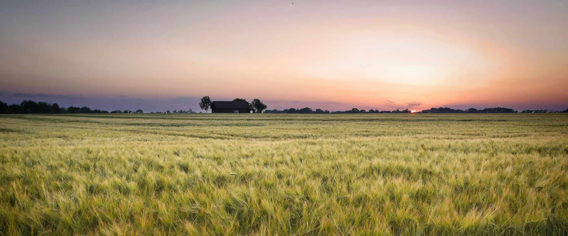 Onoranze funebri Grandi